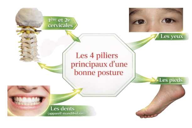 les 4 capteurs posturaux